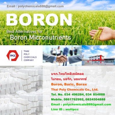 Boron 188.jpg